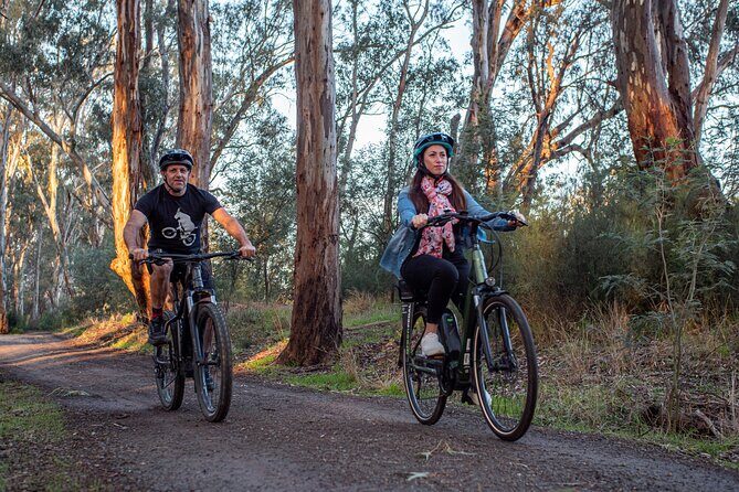 Bike to Winery Tour - Practical Tips for Participants