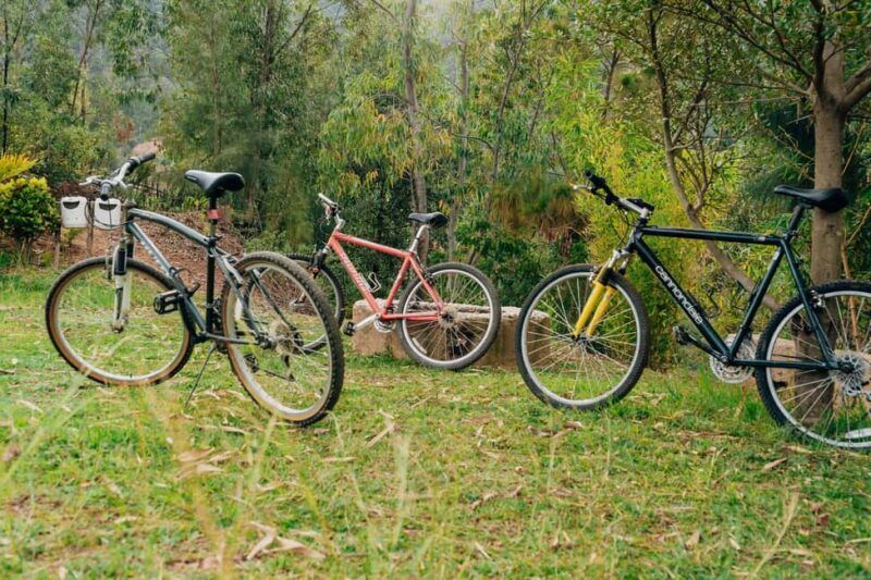 Bike tour and senic view - Why This Tour is Worth Considering