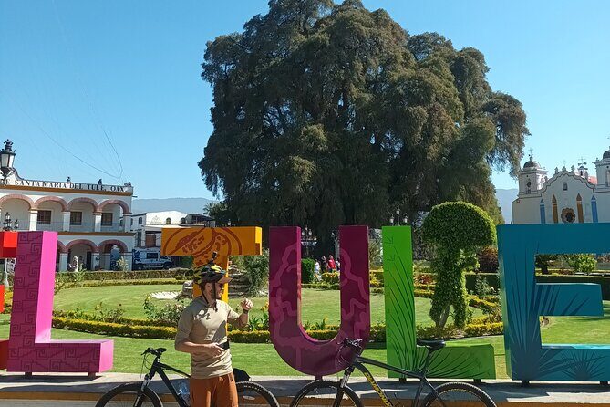 Bike tour to the Tule Tree and the Gastronomic Market - Discovering Oaxaca’s Natural Wonders and Local Flavors on a Bike Tour