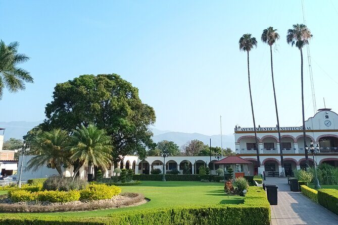 Bike tour to the Tule Tree and the Gastronomic Market - Key Points