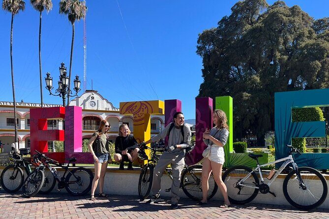 Bike tour to the Tule Tree and the Gastronomic Market - The Value of This Tour