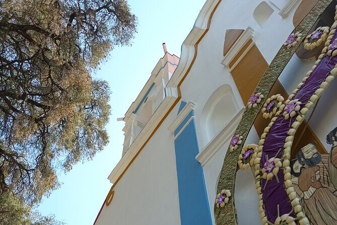 Bike tour to the Tule Tree and the Gastronomic Market - The Sum Up: Who’s This Tour Best For?