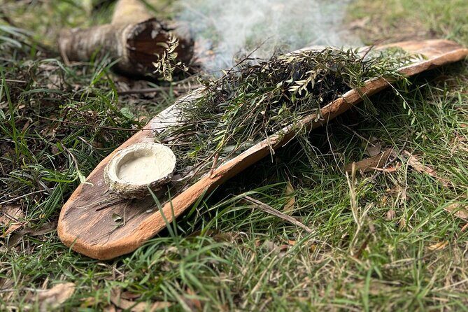 Bilbaan Cultural Experience - Jigamy to Pinnacles Trail - A Closer Look at the Journey