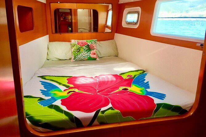 Bimini Charters - Private 3hr Catamaran Charters, Sail & Snorkel - The Sum Up