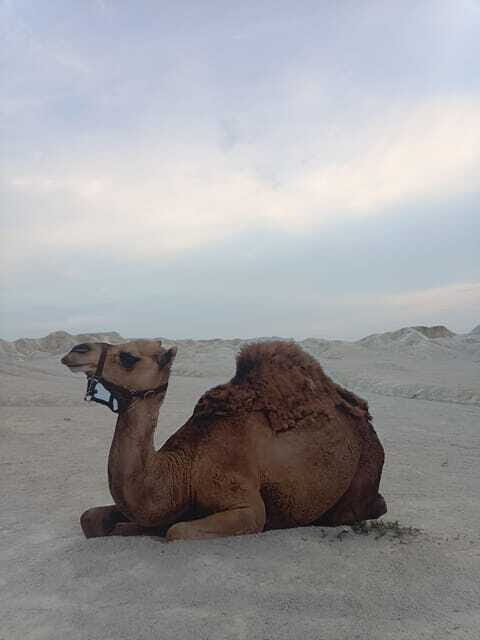 Bintan Desert And Blue Lake Private Tour - Who Should Consider This Tour?