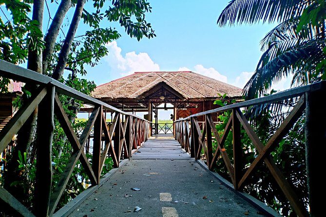 Bintan Mangrove Discovery Tour - Exploring the Bintan Mangrove Discovery Tour