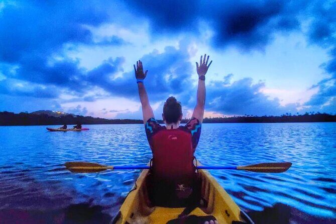 Bio Bay Night Kayak Tour in Fajardo - Introduction