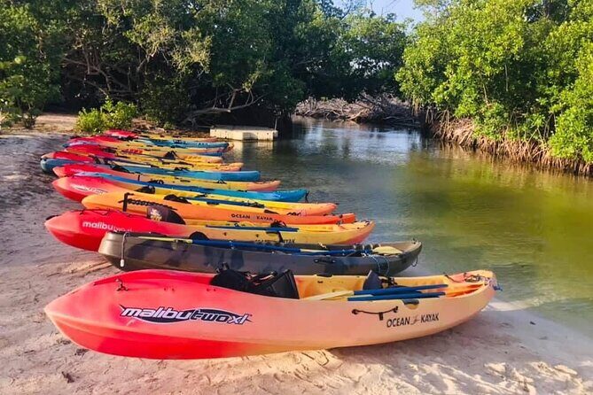 Bio Bay Night Kayak Tour in Fajardo - Key Points