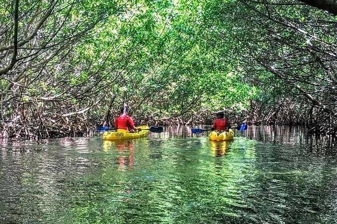 Bio Bay Night Kayak Tour in Fajardo - The Sum Up