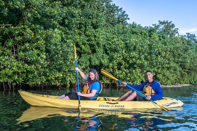 Bio Bay Night Kayak Tour with Transport from San Juan - Authentic Review Highlights