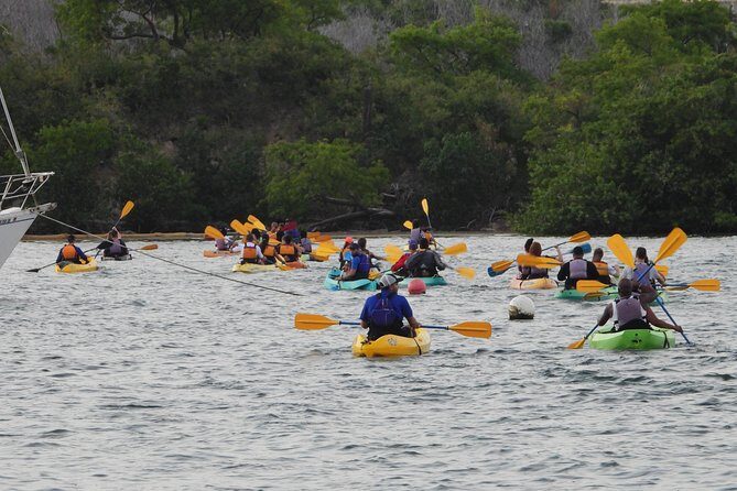Bio Bay Night Kayak Tour with Transport from San Juan - FAQ about the Bio Bay Night Kayak Tour