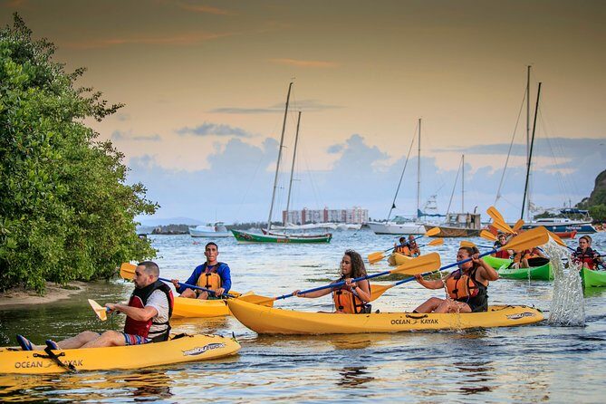 Bio Bay Night Kayaking | Laguna Grande, Fajardo - Discovering Laguna Grande’s Nighttime Splendor
