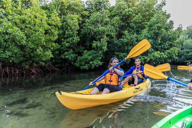 Bio Bay Night Kayaking with Transport from San Juan Area - Key Points