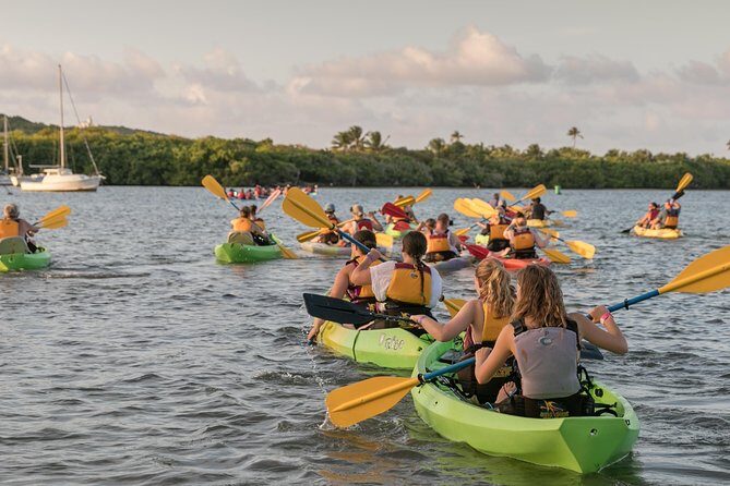 Bio Bay Night Kayaking with Transport from San Juan Area - Authentic Perspectives from Travelers
