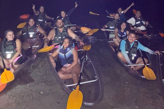 Biobay Vieques Tour Kayak Night Tour - Key Points