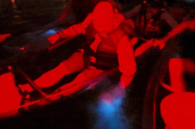 Biobay Vieques Tour Kayak Night Tour - Why You’ll Love the Biobay Vieques Kayak Night Tour
