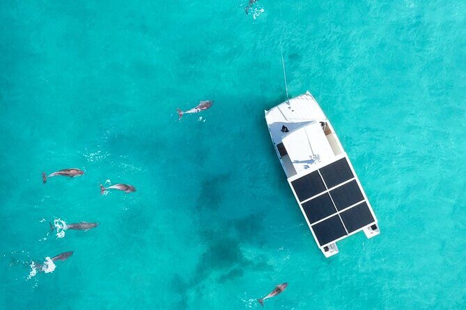 Biologist Owned & Operated: Dolphin Watching & Guided Snorkeling - Value and Overall Impression