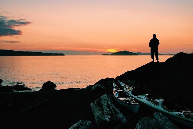 Bioluminescence and Sunset Kayak Tour in the San Juan Islands - Analyzing the Experience: A Deep Dive
