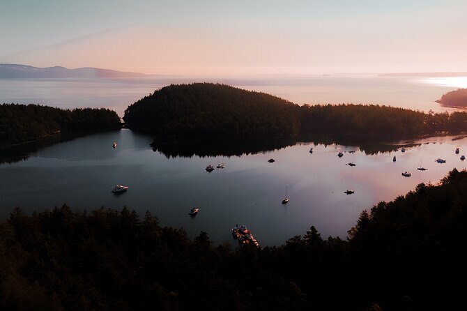 Bioluminescence and Sunset Kayak Tour in the San Juan Islands - FAQ