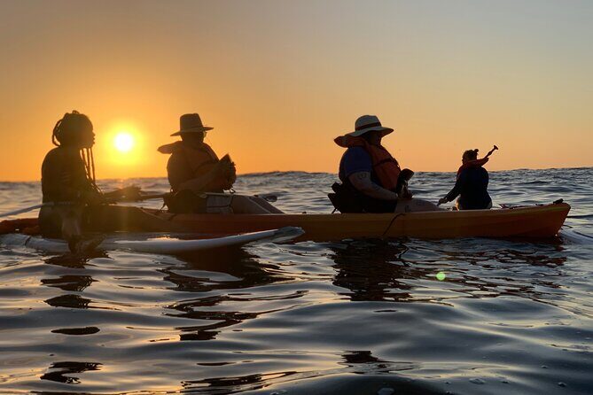 Bioluminescence by kayak or SUP to Los Arcos Puerto Vallarta - The Itinerary in Detail