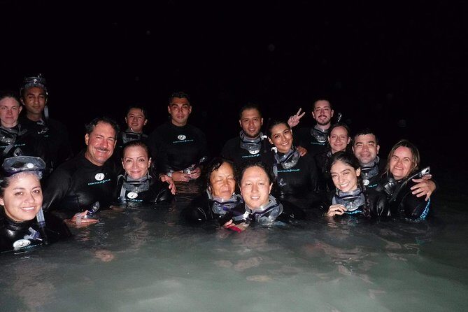 Bioluminescence Experience in Holbox - Who Will Love This Tour?