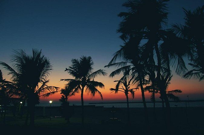 Bioluminescence from Puerto Escondido - Final Verdict