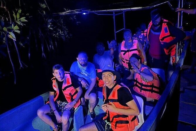 Bioluminescence in Manialtepec Night Tour from Huatulco - Who Should Consider This Tour?