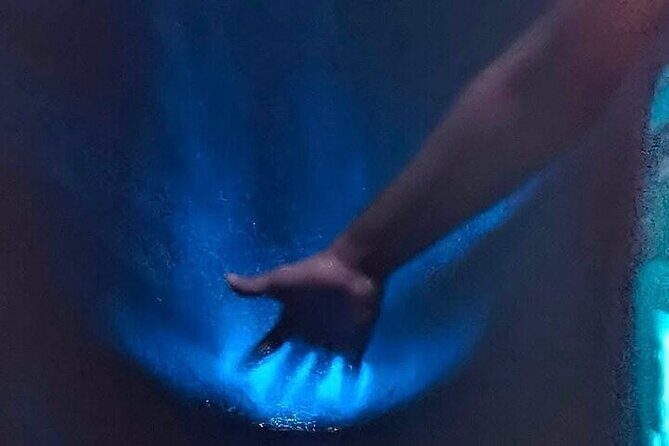 Bioluminescence in Manialtepec Night Tour from Huatulco - Final Thoughts
