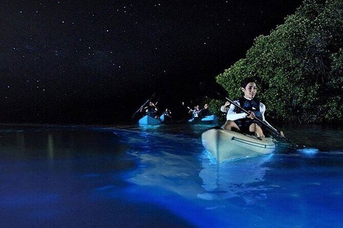 Bioluminescence Kayak Holbox  Night Eco Tour & Stargazing - An In-Depth Look at What to Expect