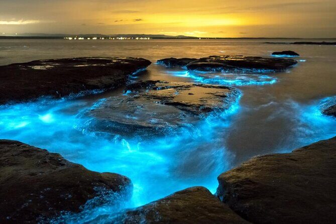 Bioluminescence Kayak Holbox  Night Eco Tour & Stargazing - The Experience’s Strengths