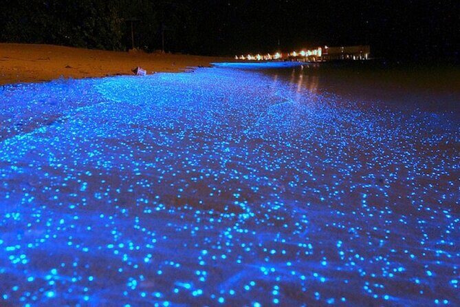 Bioluminescence Kayak Holbox  Night Eco Tour & Stargazing - Who Should Consider This Tour?