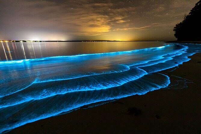 Bioluminescence Kayak Holbox  Night Eco Tour & Stargazing - Final Thoughts