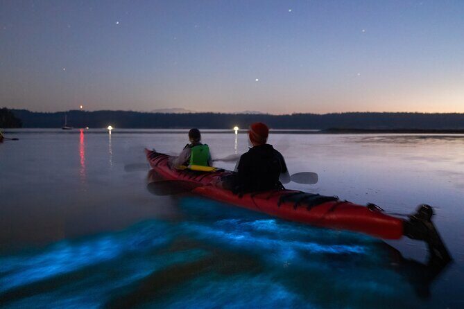 Bioluminescence Kayak Tour at Fort Flagler State Park - Key Points