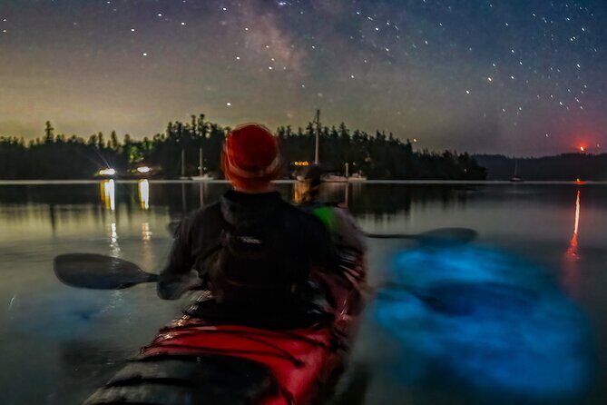Bioluminescence Kayak Tour at Fort Flagler State Park - An In-Depth Look at the Experience