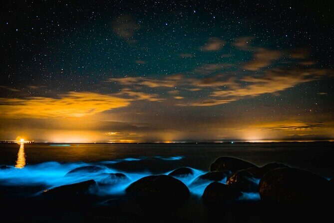 Bioluminescence Kayak Tour at Fort Flagler State Park - Final Thoughts