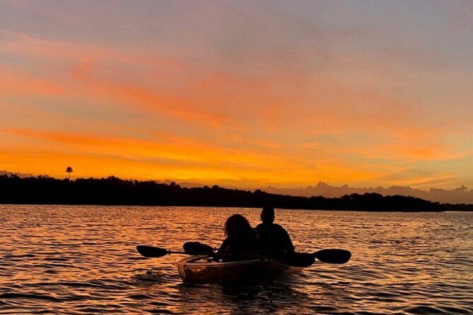 Bioluminescence Kayak Tour - Key Points