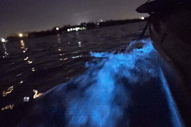 Bioluminescence Kayak Tour - FAQs