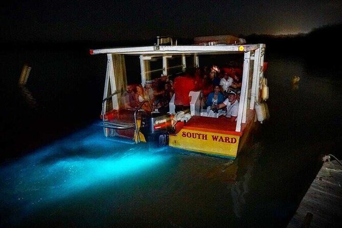 Bioluminescence Lagoon Tour from Montego Bay with Pick Up - What to Expect on the Tour
