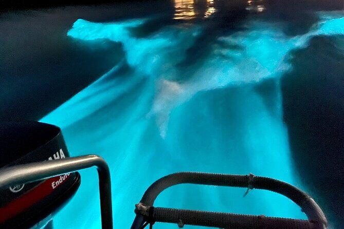 Bioluminescence Lagoon Tour from Montego Bay with Pick Up - Final Thoughts: Is It Worth It?