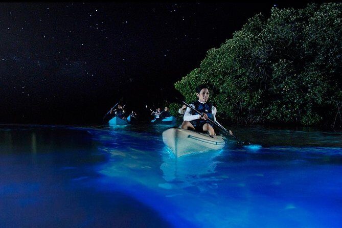 Bioluminescence Night Kayaking Tour of Merritt Island Wildlife Refuge - What Is the Merritt Island Bioluminescence Kayaking Tour?