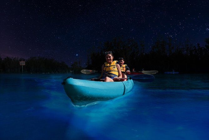 Bioluminescence Night Kayaking Tour of Merritt Island Wildlife Refuge - Timing, Price, and Booking Considerations