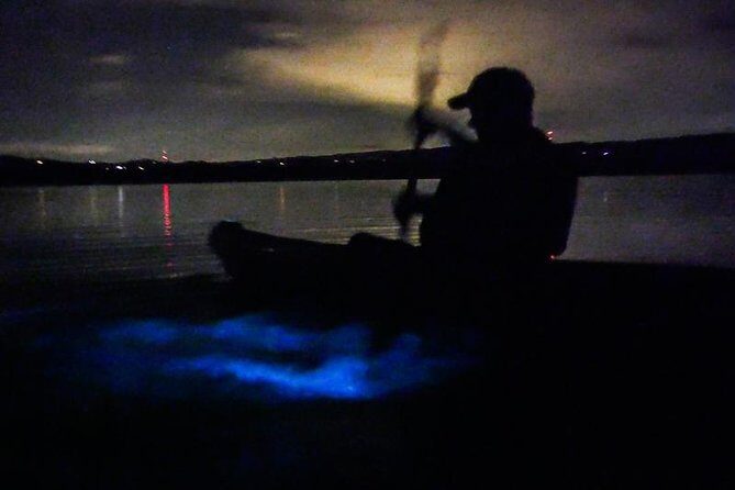Bioluminescence Night Kayaking Tour of Merritt Island Wildlife Refuge - What Travelers Say