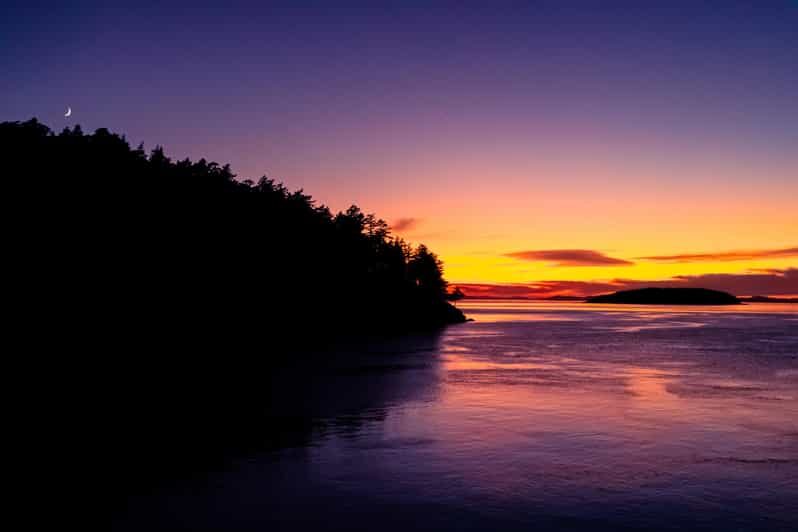 Bioluminescence Night Paddle - An in-depth look at the Bioluminescence Night Paddle