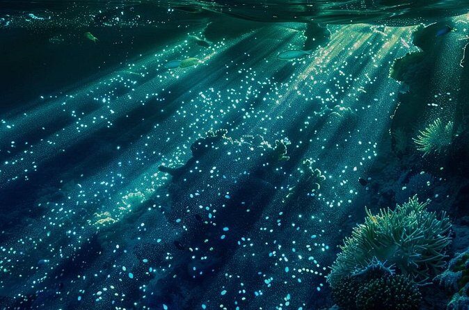 Bioluminescence Snorkel Boat Tour to Klein Bonaire - Practical Tips for Travelers