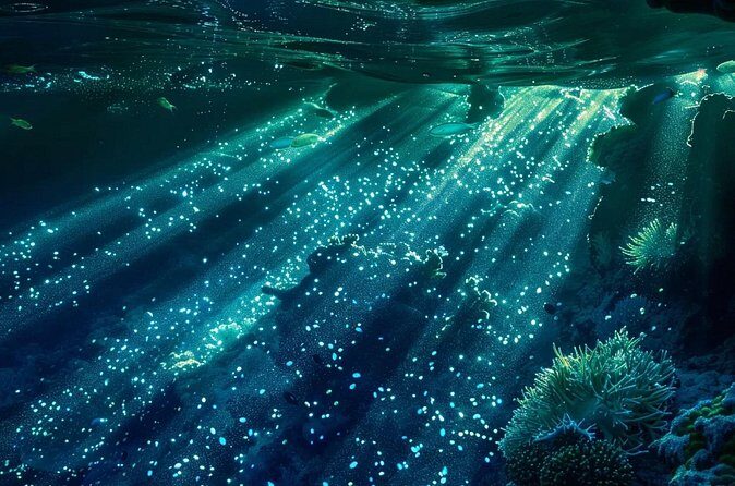 Bioluminescence Snorkel Boat Tour to Klein Bonaire - The Sum Up: Is It Worth It?