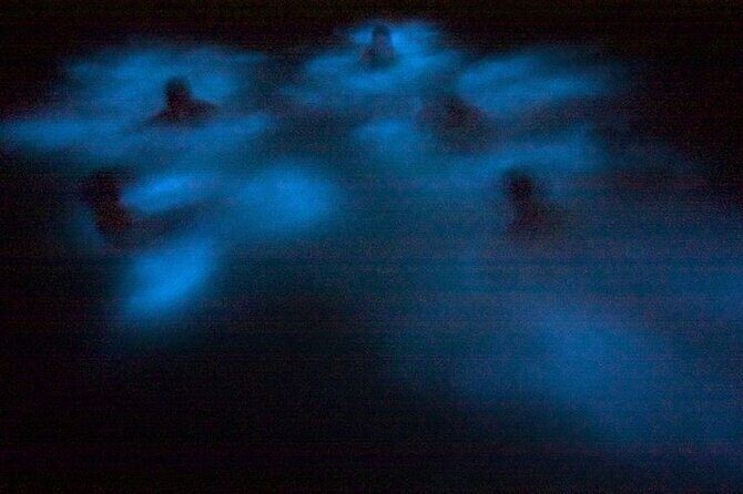 Bioluminescence & sunset local boat tour to Los Arcos Sanctuary - FAQ