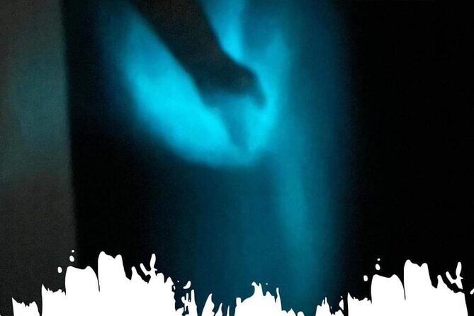 Bioluminescence swim with stars - Key Points