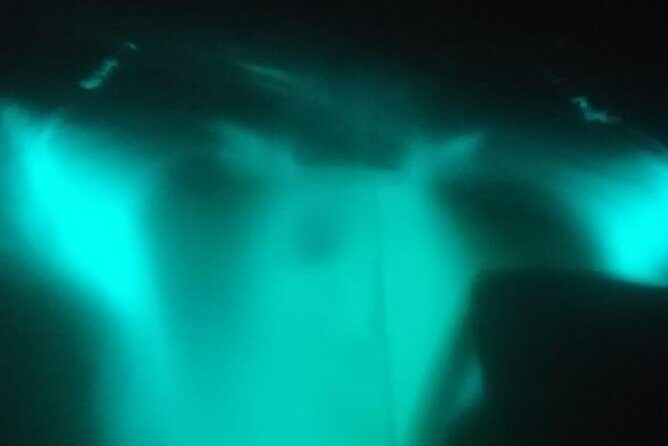 Bioluminescence swim with stars - Why This Tour Is a Good Deal