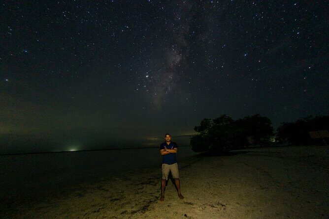 Bioluminescence Tour by Car at Holbox - Authenticity and Reviews
