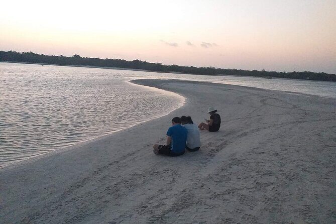 Bioluminescence Tour by Car at Holbox - The Sum Up: Who Should Book This Tour?